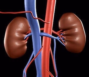 Tidbits of Renal Knowledge