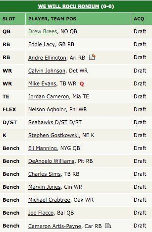 nfl-fantasy-2015-2016-draft-roster