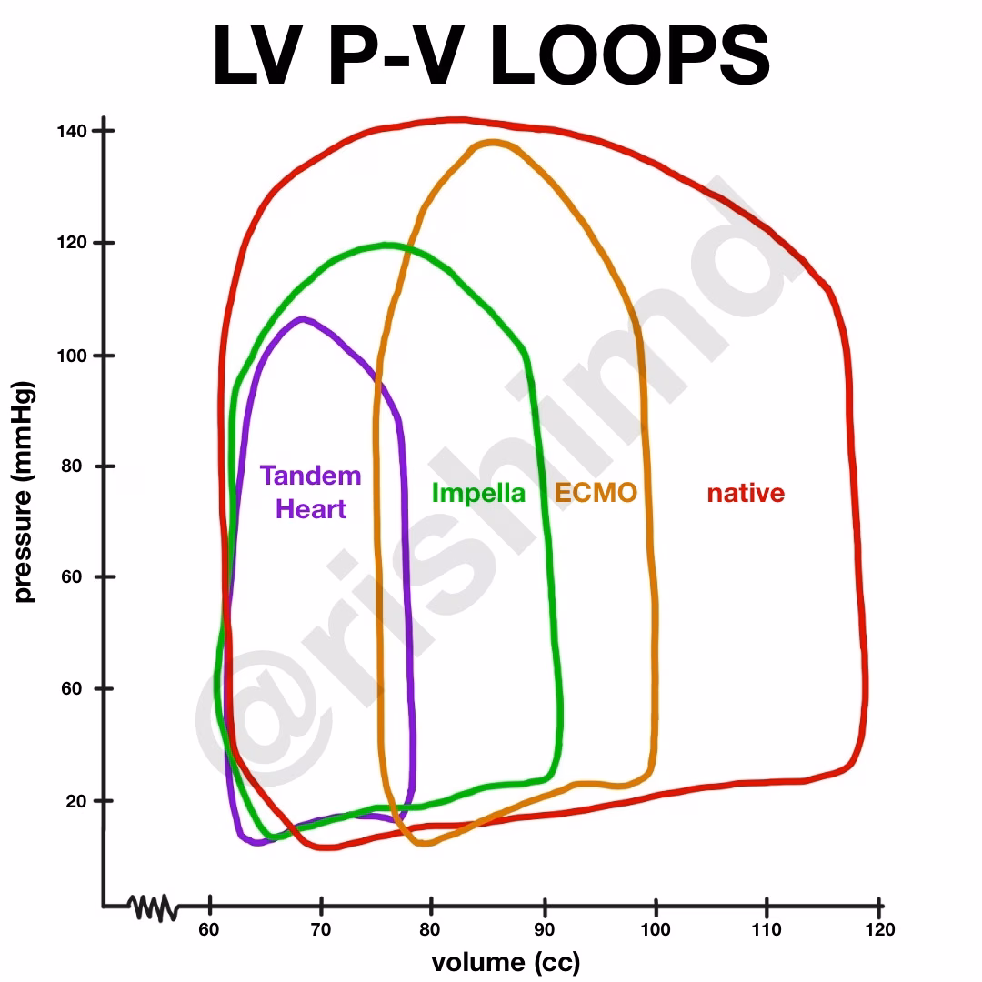 Left Ventricular Pressure-Volume Work Loop With Mechanical Circulatory Support