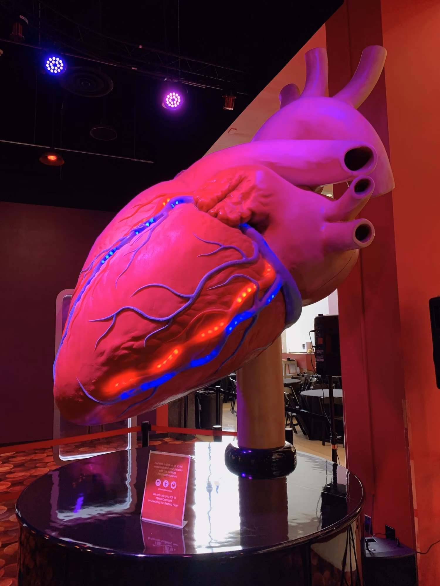 Visiting The Houston Health Museum