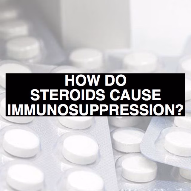 How Do Steroids Cause Immunosuppression?