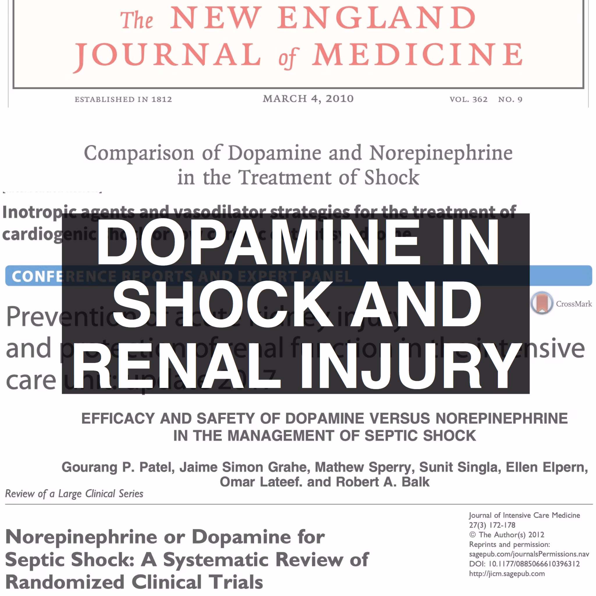 Dopamine In Shock And Kidney Injury