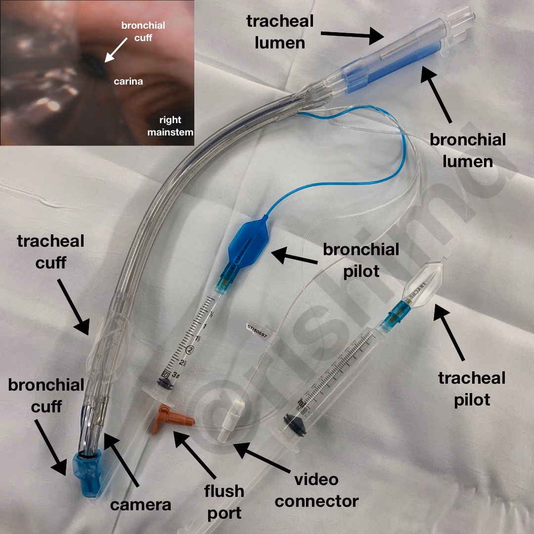 VivaSight Double Lumen Endotracheal Tube