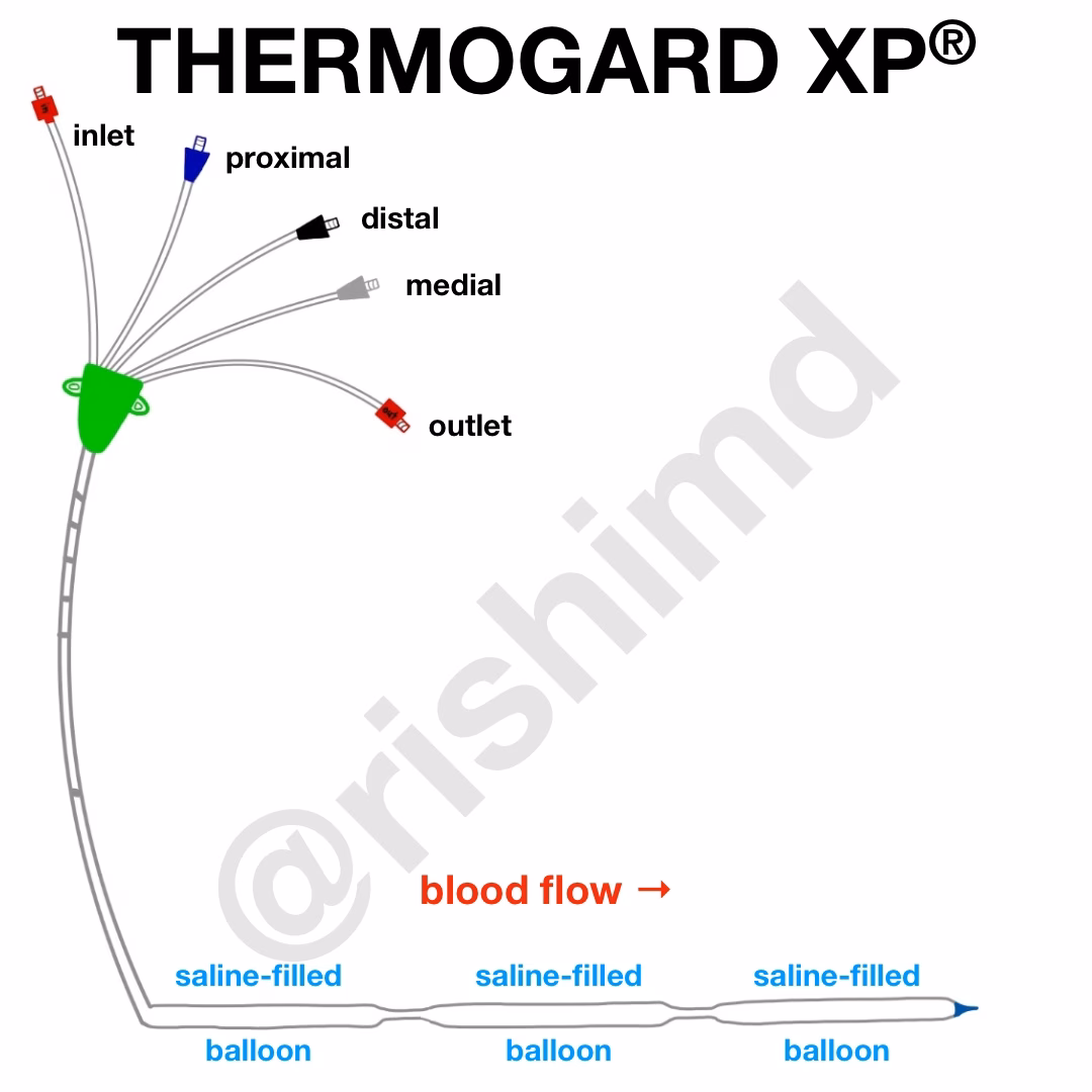Thermogard – Targeted Temperature Management (TTM)