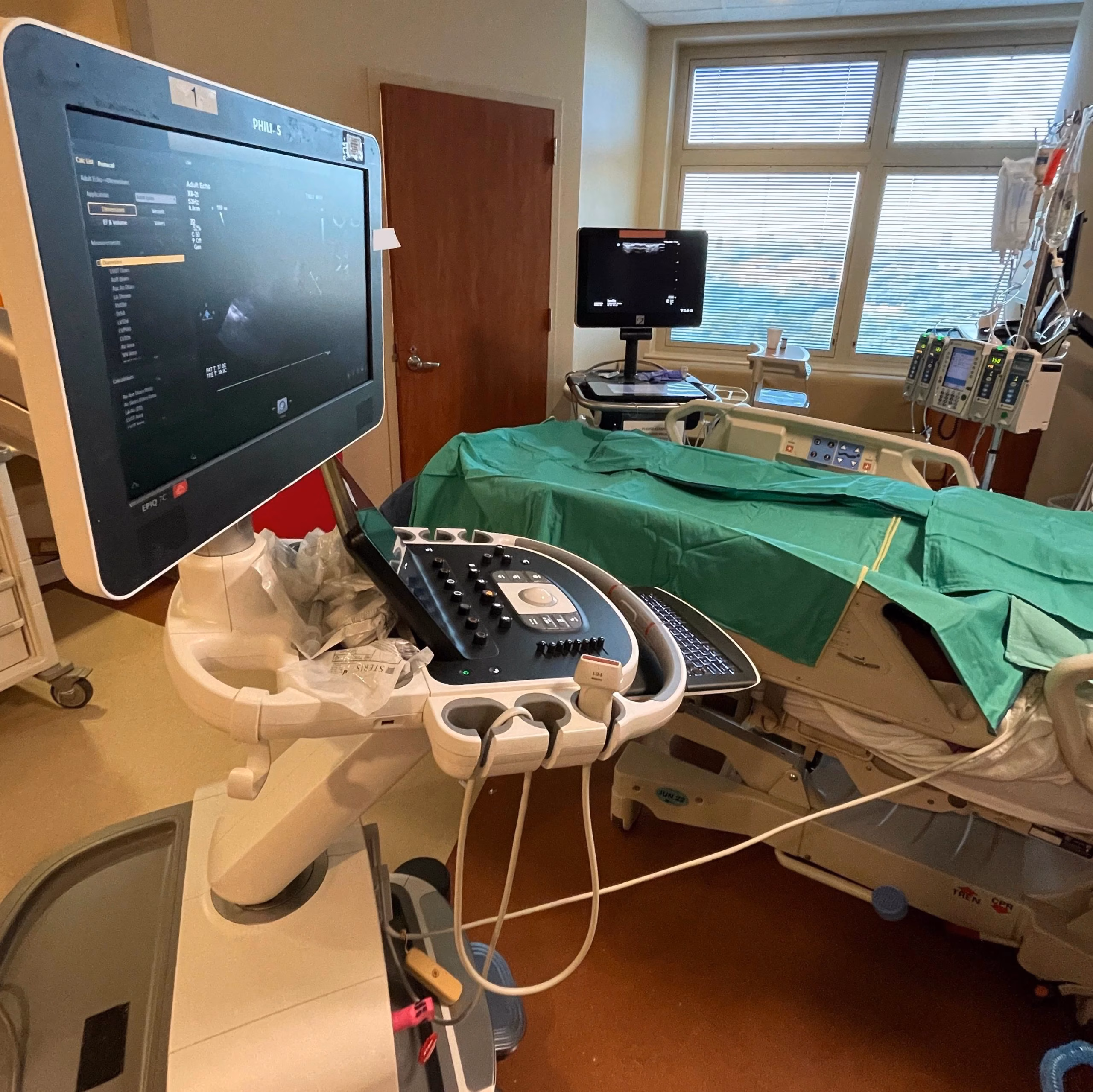 TEE In The Cardiothoracic ICU