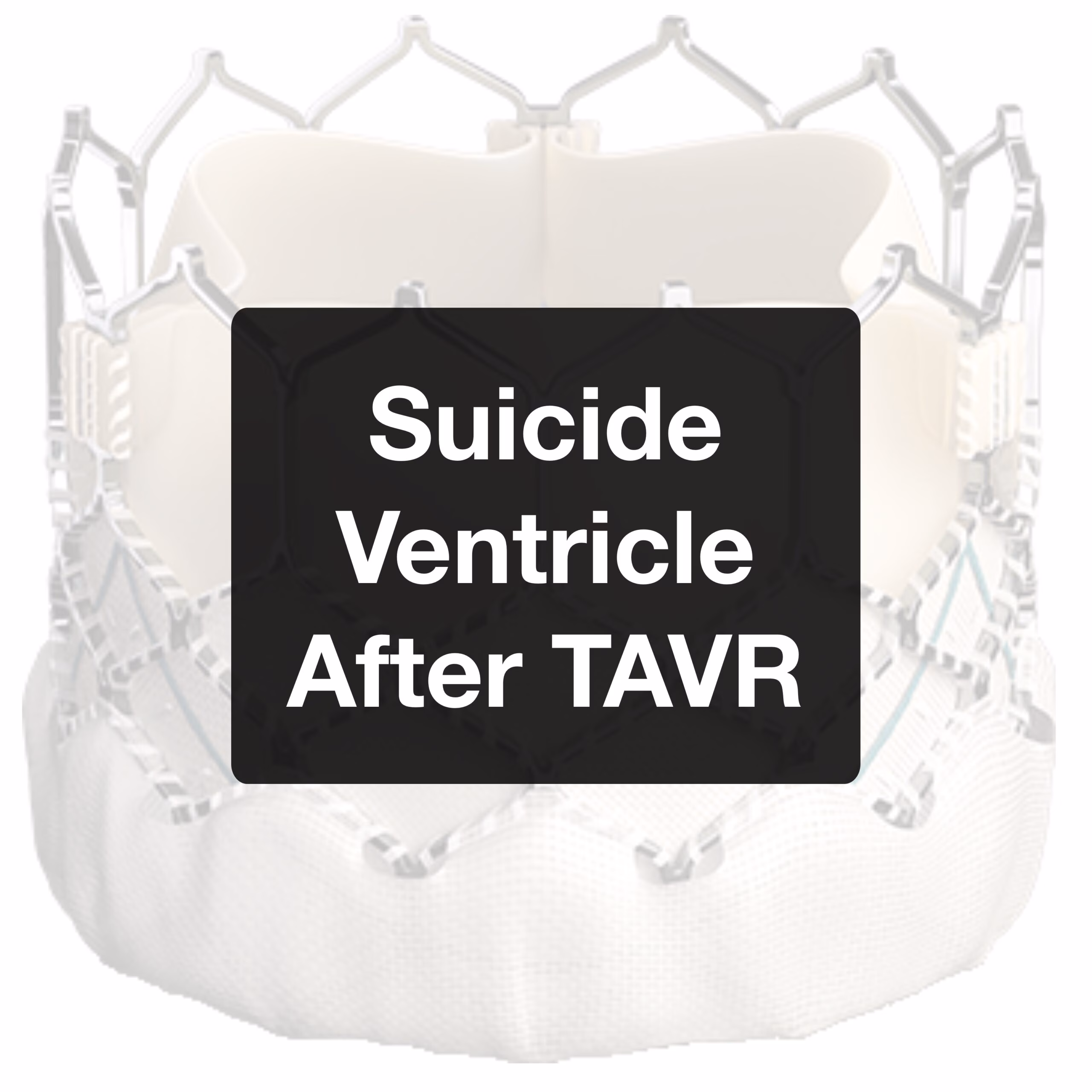 Suicide Left Ventricle Following TAVR